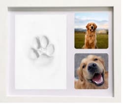 Speelgoed voor dieren - Fotolijst met Kleiafdruk - Pootafdruk Hond - Gipsafdruk huisdier - Puppy Speelgoed — thumbnail 1