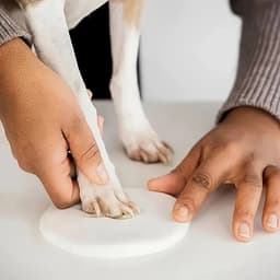 Baby hand- & voetafdruk klei – Wit – 20g zachte fluffy klei – DIY gipsafdruk – Voor baby’s én huisdieren – Pootafdruk hond/kat – Lichtgewicht & herbruikbaar – 10×7 cm verpakking — thumbnail 3
