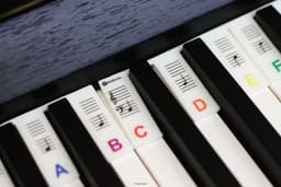 Siliconen Toetsenwijzer piano kleur - verwijderbare stickers — thumbnail 5