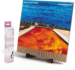Pinguïn Records – SoloTone Stand - Opvouwbare LP Houder – LP Standaard - Zwart – Vinyl Houder – Handig op te bergen - 1 stuk — thumbnail 4