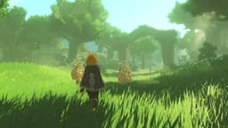 Hyrule Warriors: Age of Imprisonment - Nintendo Switch 2 — thumbnail 2