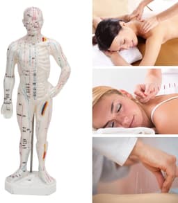 Dailygoods - Lichaamsacupunctuurmodel - Professioneel meridiaanpuntenmodel - Onderwijs en massage - 33 x 16 x 6 cm - Acupunctuurmodel - Geschikt voor — thumbnail 5