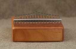 Kalimba Duimpiano 17 Tonen- met Muziekboek en Accessoires- Bloem — thumbnail 4