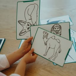 BEAU by Bo Kidywolf Kidydraw Mini Tekenboek met LCD-scherm Dinosaurussen + Refill Once upon a time & Animals — thumbnail 5