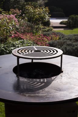 Topgrill 100 — thumbnail 3