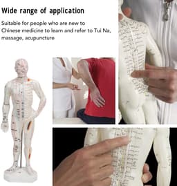 Dailygoods - Lichaamsacupunctuurmodel - Professioneel meridiaanpuntenmodel - Onderwijs en massage - 33 x 16 x 6 cm - Acupunctuurmodel - Geschikt voor — thumbnail 2