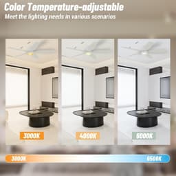 Plafondventilator met Licht - Ventilator voor Plafond - Ruimte Koelen en Verlichten - Stille DC-motor met 6 Snelheden — thumbnail 2