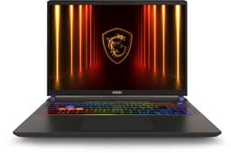MSI Vector A16 HX A8WHG-023NL - 16 inch - QHD+ - AMD Ryzen 9 8940HX - 16 GB - 1 TB - GeForce RTX™ 5070 Ti — thumbnail 1