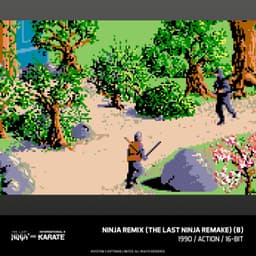 Evercade The Last Ninja & IK Collection Standaard — thumbnail 3