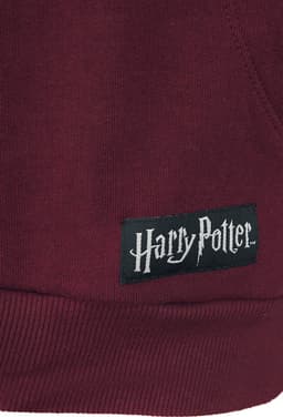 Harry Potter Gryffindor Heren Trui met capuchon - bordeaux - XXL — thumbnail 5