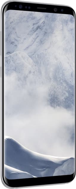 Samsung Galaxy S8 Zilver — thumbnail 5