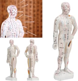 Dailygoods - Lichaamsacupunctuurmodel - Professioneel meridiaanpuntenmodel - Onderwijs en massage - 33 x 16 x 6 cm - Acupunctuurmodel - Geschikt voor — thumbnail 4