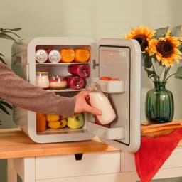 Equivera Mini Fridge for Drinks - Kleine Koelkast - Mini Koelkasten - Minibar - Mini Fridge - Mini Koelkast - Mini Koelkastje - Must have voor in Huis! — thumbnail 2