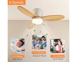 Plafondventilator met Licht - Ventilatorlamp - Kamers Koel Houden - 6 Snelheden Instelbaar - 132CM Diameter
