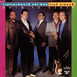 CD Opbergdoos - Hoesjes - Muziek Archiveren - Dun Profiel - 14 x 125 cm - Transparant — thumbnail 1
