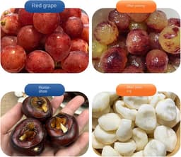 Automatische Schilmachine - Keuken Hulpmiddel - Groenten Fruit Schillen - Oplaadbaar Type-C - Compact Ontwerp — thumbnail 5