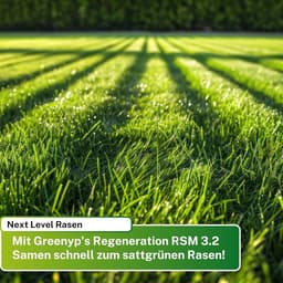 Groenyp Turbo RSM 3.2 RSM Grasaad 10 kg 400 m² — thumbnail 5