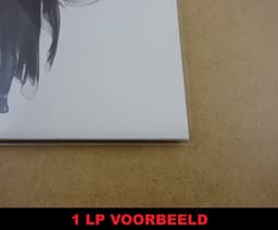 100 LP Hoezen glashelder - Buitenhoezen / Beschermhoezen voor vinyl platen - 12" — thumbnail 5