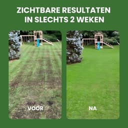 Express Graszaad voor Snelle Groei - 300 m² - Slijtvast Graszaad voor Zon en Halfschaduw - Italiaans Graszaad voor Tuin — thumbnail 2
