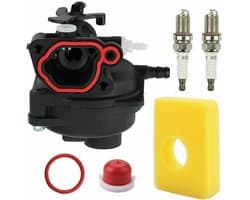 Accessoires voor grasmaaiers - Carburateur van grasmaaiermotor Compatibel met Briggs & Stratton 799583 591160 593261 591110 - Luchtfilter van carburateur