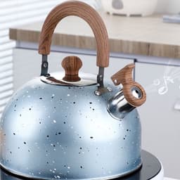 Dailygoods- Theeketel met luid fluitje - Roestvrij staal - Vintage ontwerp - Grote capaciteit 2 liter - Inductieketel - Handige waterinjectie - Waterkoker — thumbnail 3