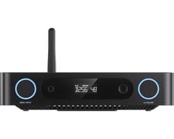 FIIO K13 R2R Zwart