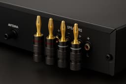 Vergulde banaanstekkers set (4 stuks) – 24K gold plated speakerpluggen – Hifi speakerkabel connectors – Schroefbare banaanpluggen rood/zwart – Audio accessoires voor versterker, receiver & luidsprekers — thumbnail 3