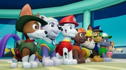 Paw Patrol: On a Roll - Nintendo Switch (Code in A Box) — thumbnail 2