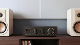 FIIO LEVEL 1 Zilver — thumbnail 4