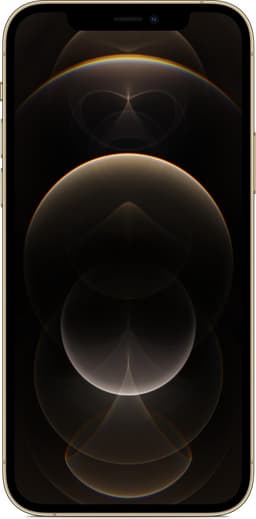 Apple iPhone 12 Pro - 256GB - Goud — thumbnail 2