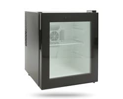 Livista Mini Koelkast - Thermo-elektrisch - 40 Liter - glazen deur - Zwart