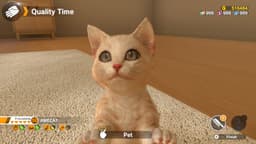 Little Friends: Dogs and Cats - Nintendo Switch (Code in a Box) — thumbnail 5