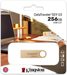 Kingston, USB-Stick 256 GB, Goud — thumbnail 5