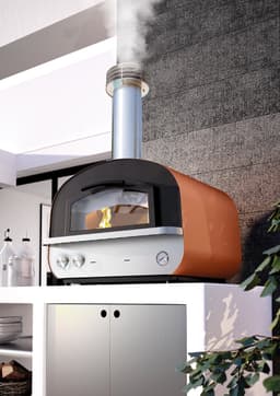 Palazetti Mario Hybride Professionele Gas - Houtoven — thumbnail 3