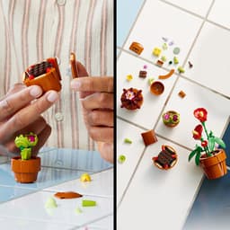 LEGO Botanical Collection - Miniplantjes Constructiespeelgoed — thumbnail 4