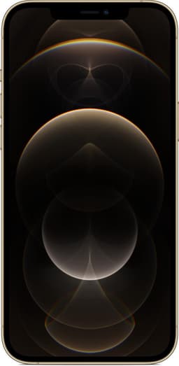 Apple iPhone 12 Pro Max - 128GB - Goud — thumbnail 2