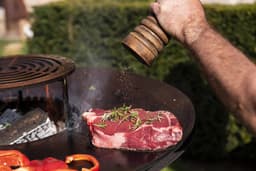 Topgrill 100 — thumbnail 2