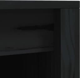 Buitenkeuken Kasten - Keuken Opslag - Tuin Koken - Modulair Ontwerp - 2 Stuks - Zwart — thumbnail 2