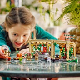 Lego Harry Potter 76445 Zweinstein: Kruidenkundeles Bouwstenen — thumbnail 4