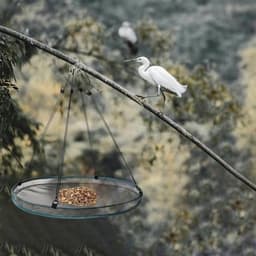 stuks vogelzaadbakken met 8 haken, hangende vogelzaadweegschaalhouder, platformvoederbak om vogels aan te trekken, buiten, achtertuin, huis, tuin — thumbnail 3