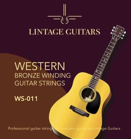 Western gitaar snaren voor akoestische gitaar - "Bronze Winding" 0.11 - Staalsnarige gitaar snaren - WS-011 — thumbnail 4