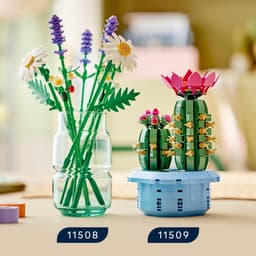LEGO Botanicals - Madeliefjes Constructiespeelgoed — thumbnail 2