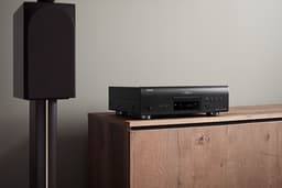 Denon - DCD-1700NE - CD/SACD-Speler met Advanced AL32 Processing Plus en een Ultra-Precisie D/A-Converter - Zwart — thumbnail 5
