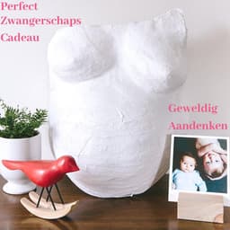 Gipsbuik pakket - Met 12 Kleuren Verf en Kwasten – 4 Rollen Extra Groot en Sterk Gipsverband – Niet Toxisch - Baby Buik Zwanger — thumbnail 3