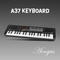 Aengus Keyboard Piano Keyboard Kind met 37 toetsen - Aanslaggevoelige Toetsen - USB-C MIDI - inclusief Stereo Koptelefoon — thumbnail 2