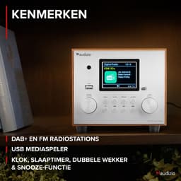 DAB radio - Audizio Vieste - DAB+ radio met subwoofer en Bluetooth - Zilver - Met afstandsbediening — thumbnail 3