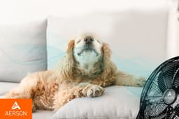 AERSON vloerventilator 50 cm | waaier met drie standen 120W | staande ventilator | hoge luchtstroom | robuuste metalen uitvoering | hellingshoek ca. 110 graden — thumbnail 3