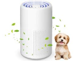 Luchtreiniger - Met HEPA Filter - 37 dB slaapstand - Vermindert Stof En Pollen - voor slaapkamer, kantoor, dierenkamer, badkamer - 12×12×19cm - wit