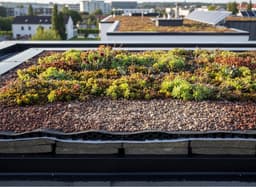 50 kg Substrate for roof greening - Mix 3 - lava/pumice - lava puimsteen granulaat substraat — thumbnail 3
