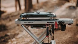 Weber Traveler — thumbnail 3